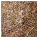 Suche nach henne fliesen Natur