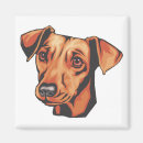 Suche nach zwergpinscher magnete Niedlich