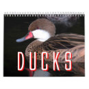 Suche nach ente kalender Küken