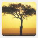 Suche nach aufstieg über ihm aufkleber Silhouette