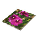 Suche nach rosa dahlie fliesen Botanisch