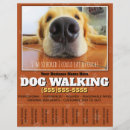 Suche nach hundewanderung flyer Haustiersitze