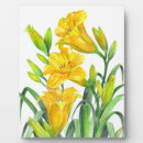 Suche nach gelb fotoplatten Hütte