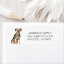 Suche nach grenzterrier Hund