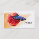 Suche nach betta Fisch
