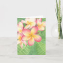 Suche nach plumeria karten Aquarell
