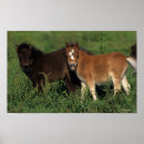 Suche nach miniature poster Bob langrish