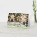 Suche nach sick karten Hund
