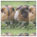 Suche nach schweine stoffe Tier