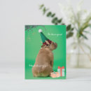 Suche nach boxerhund postkarten Lustig