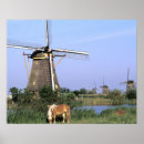Suche nach holland windmühlen poster Kinderdijk