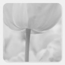 Suche nach keukenhof aufkleber Tulpe