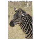 Suche nach zebra kalender Safari