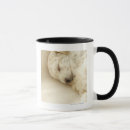 Suche nach tailles tasses Zuhause