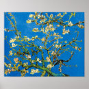 Suche nach blühender mandelbaum poster Van gogh