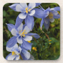 Suche nach columbine untersetzer Blume