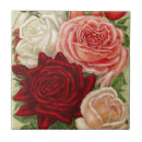 Suche nach antike rosen fliesen Weiß