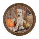 Suche nach halloween schneidebretter schneidebrettchen Erntedank
