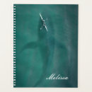 Suche nach wales planer Natur