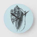 Suche nach muschel wanduhren Natur