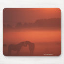 Suche nach pferd mousepads Cowboy
