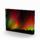 Suche nach aurora Wald