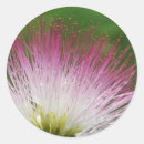 Suche nach fuzzy aufkleber Natur