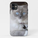 Suche nach ragdoll katze iphone hüllen Süß