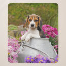 Suche nach beagle decken Tier