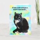 Suche nach funny cat karten Geburtskarte der katze