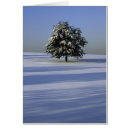 Suche nach schneebedeckte landschaft Im freien
