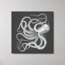 Suche nach octopus poster leinwandbilder Oktopus
