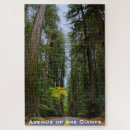 Suche nach redwood puzzle Kalifornien