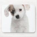 Suche nach alte kamera mousepads Betrachten der kamera