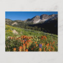 Suche nach cacher postkarten Albion basin