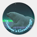 Suche nach eisbären magnete Natur