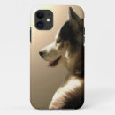 Suche nach heiseren Malamute