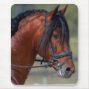 Suche nach pferdeartig mousepads Reiter