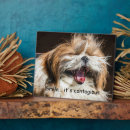 Suche nach lustige tiere fotoplatten Haustiere