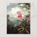 Suche nach martin johnson heade postkarten Vogelvogel