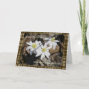 Suche nach geburtstag schwägerin Mit blumen