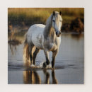 Suche nach weißes pferd puzzle Tier