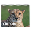 Suche nach gepard kalender Katze