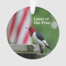 Suche nach specht ornamente Vogelbeobachtung