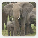 Suche nach afrikanischer elefant aufkleber Baby