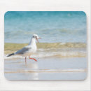 Suche nach schreiend mousepads Seegras