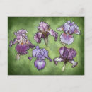 Suche nach lila iris postkarten Blüte