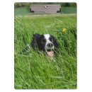 Suche nach gräser klemmbrett Wiese