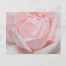 Suche nach blumenblatt postkarten Blumenblätter
