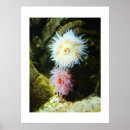 Suche nach ecology poster Nature